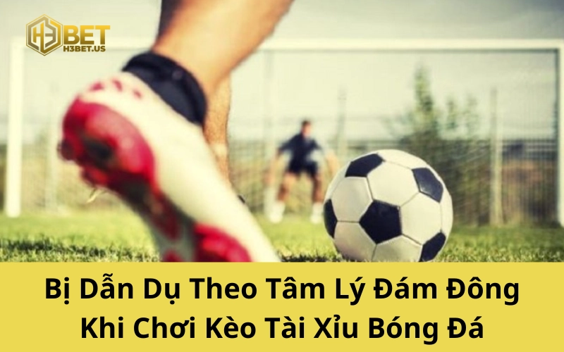 Bị Dẫn Dụ Theo Tâm Lý Đám Đông Khi Chơi Kèo Tài Xỉu Bóng Đá