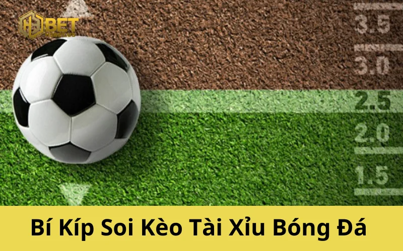 Bí Kíp Soi Kèo Tài Xỉu Bóng Đá Tránh Bẫy Nhà Cái