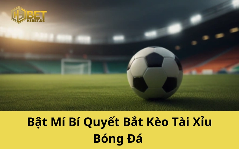 Bí Quyết Bắt Kèo Tài Xỉu Bóng Đá Từ Bet Thủ Gạo Cội