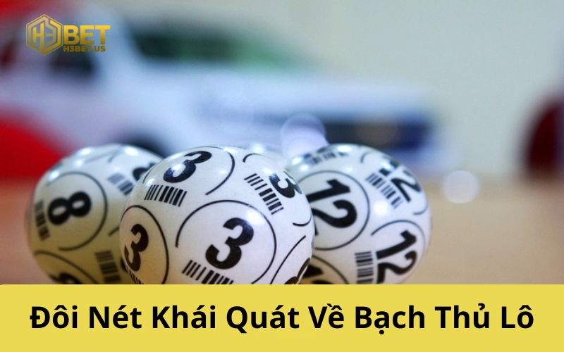Đôi Nét Khái Quát Về Bạch Thủ Lô